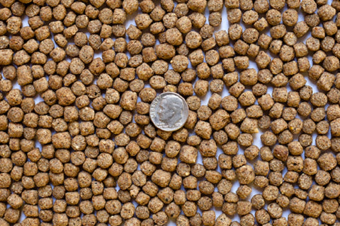Kenny’s Bargain Bits 3/16" Pond Pellets 32% Protein - Spring to Fall Maintenance Diet for Adult Koi and Pond Fish