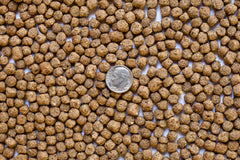 Kenny’s Bargain Bits 3/16" Pond Pellets 32% Protein - Spring to Fall Maintenance Diet for Adult Koi and Pond Fish