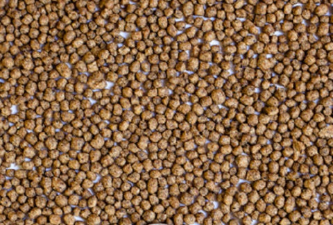 Kenny's Vanishing Vittles Pond Fish Food Medium Sized Pellets 36% Protein for Koi and Freshwater Fish
